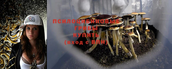 соль курить ск Горняк