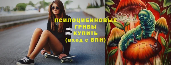 тгк Горнозаводск