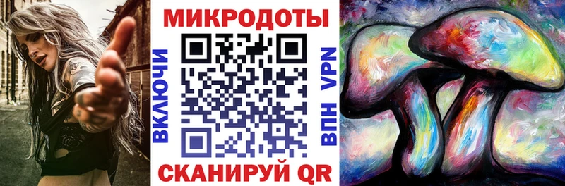 Купить  Раменское  Псилоцибиновые грибы Psilocybe 